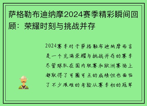萨格勒布迪纳摩2024赛季精彩瞬间回顾：荣耀时刻与挑战并存