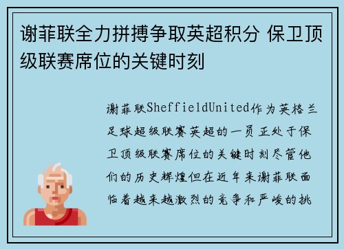 谢菲联全力拼搏争取英超积分 保卫顶级联赛席位的关键时刻